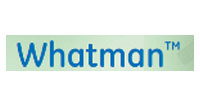 Whatman